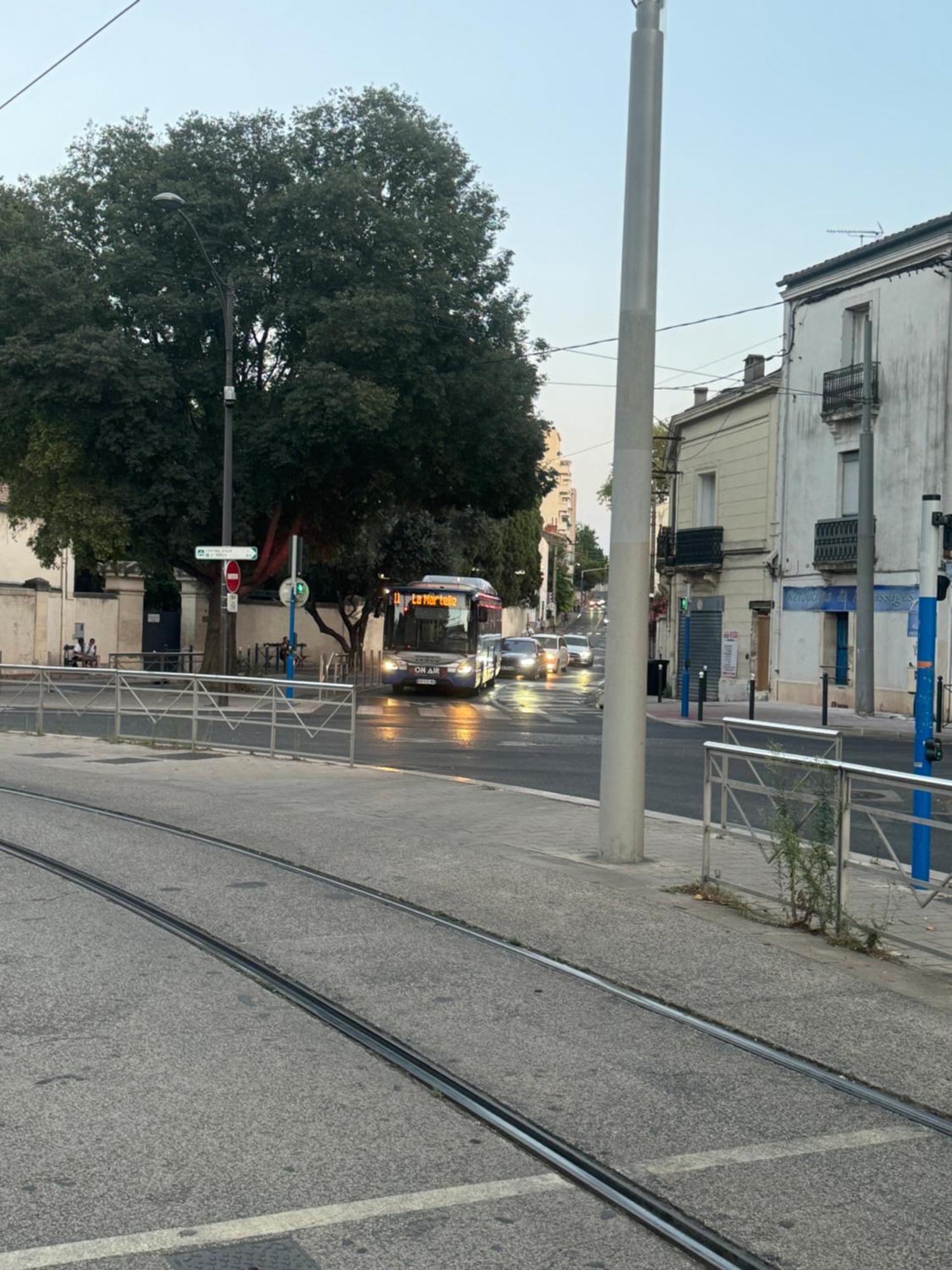 Paradis Calme En Plein Centre Ville Montpellier Exterior foto